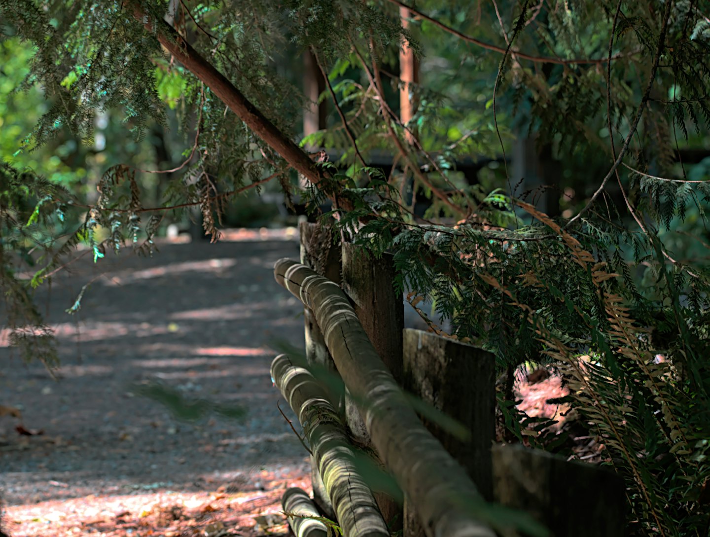 Ein rustikaler Holzzaun säumt einen Kiesgartenweg.