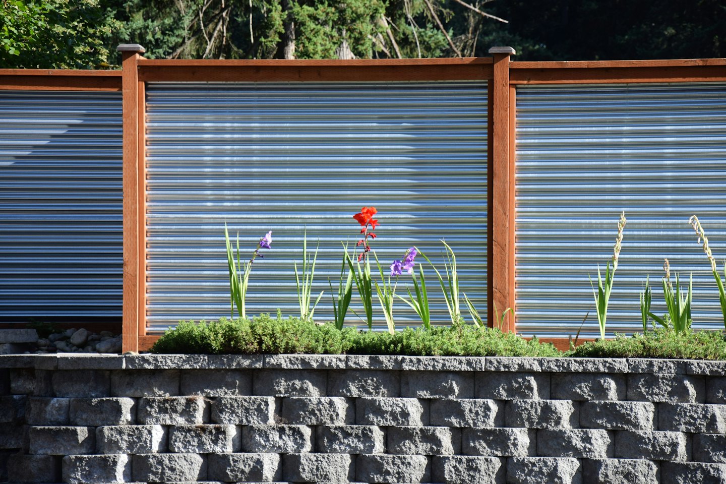 Wellblech- und Holzzaun über einer Gartenmauer.